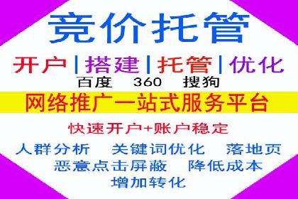 某企业通过SEM实现品牌与销售双增长的案例